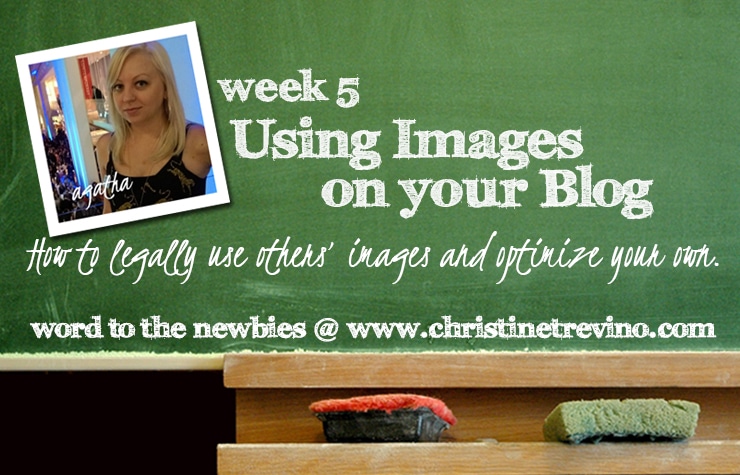Using Images on Your Blog | Word to the Newbies | Week 5