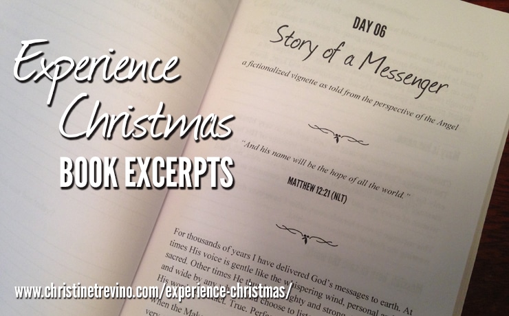 Experience Christmas Book Excerpts