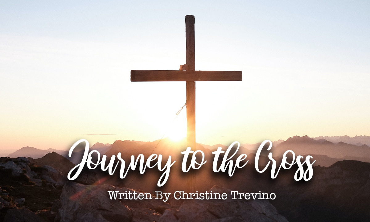 Journey to the Cross [Excerpt]